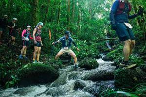 BIB: 
                            <button type="button" onclick="openModal(26780704)" class="btn btn-primary btn-sm float-right btn-popup" data-toggle="modal" data-target=".modal-high-quality">
                        <i class="fas fa-shopping-cart"></i> Add to Cart
                    </button>
                                            <button type="button" onclick="isThisMe(26780704, true)" class="btn btn-success btn-sm float-right btn-popup btn-isme hidden" data-toggle="tooltip" data-placement="bottom" title="นี่คือรูปของคุณใช่ไหม คลิกที่นี่เพื่อเอาเข้าอัลบั้ม">
                        <i class="fas fa-plus"></i> Add to album
                    </button>
                    <button type="button" onclick="isThisMe(26780704, false)" class="btn btn-warning btn-sm float-right btn-popup btn-isnotme hidden">
                        <i class="fas fa-ban"></i> Remove from album
                    </button>