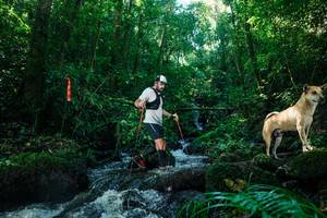 BIB: 
                            <button type="button" onclick="openModal(26756167)" class="btn btn-primary btn-sm float-right btn-popup" data-toggle="modal" data-target=".modal-high-quality">
                        <i class="fas fa-shopping-cart"></i> Add to Cart
                    </button>
                                            <button type="button" onclick="isThisMe(26756167, true)" class="btn btn-success btn-sm float-right btn-popup btn-isme hidden" data-toggle="tooltip" data-placement="bottom" title="นี่คือรูปของคุณใช่ไหม คลิกที่นี่เพื่อเอาเข้าอัลบั้ม">
                        <i class="fas fa-plus"></i> Add to album
                    </button>
                    <button type="button" onclick="isThisMe(26756167, false)" class="btn btn-warning btn-sm float-right btn-popup btn-isnotme hidden">
                        <i class="fas fa-ban"></i> Remove from album
                    </button>