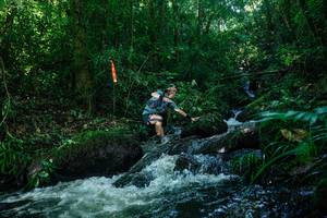 BIB: 
                            <button type="button" onclick="openModal(26772632)" class="btn btn-primary btn-sm float-right btn-popup" data-toggle="modal" data-target=".modal-high-quality">
                        <i class="fas fa-shopping-cart"></i> Add to Cart
                    </button>
                                            <button type="button" onclick="isThisMe(26772632, true)" class="btn btn-success btn-sm float-right btn-popup btn-isme hidden" data-toggle="tooltip" data-placement="bottom" title="นี่คือรูปของคุณใช่ไหม คลิกที่นี่เพื่อเอาเข้าอัลบั้ม">
                        <i class="fas fa-plus"></i> Add to album
                    </button>
                    <button type="button" onclick="isThisMe(26772632, false)" class="btn btn-warning btn-sm float-right btn-popup btn-isnotme hidden">
                        <i class="fas fa-ban"></i> Remove from album
                    </button>