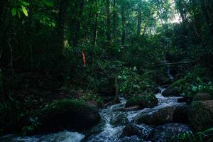 BIB: 
                            <button type="button" onclick="openModal(26778283)" class="btn btn-primary btn-sm float-right btn-popup" data-toggle="modal" data-target=".modal-high-quality">
                        <i class="fas fa-shopping-cart"></i> Add to Cart
                    </button>
                                            <button type="button" onclick="isThisMe(26778283, true)" class="btn btn-success btn-sm float-right btn-popup btn-isme hidden" data-toggle="tooltip" data-placement="bottom" title="นี่คือรูปของคุณใช่ไหม คลิกที่นี่เพื่อเอาเข้าอัลบั้ม">
                        <i class="fas fa-plus"></i> Add to album
                    </button>
                    <button type="button" onclick="isThisMe(26778283, false)" class="btn btn-warning btn-sm float-right btn-popup btn-isnotme hidden">
                        <i class="fas fa-ban"></i> Remove from album
                    </button>