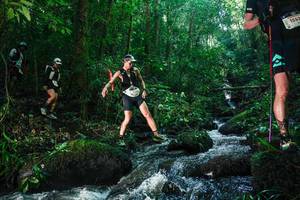 BIB: 
                            <button type="button" onclick="openModal(26780056)" class="btn btn-primary btn-sm float-right btn-popup" data-toggle="modal" data-target=".modal-high-quality">
                        <i class="fas fa-shopping-cart"></i> Add to Cart
                    </button>
                                            <button type="button" onclick="isThisMe(26780056, true)" class="btn btn-success btn-sm float-right btn-popup btn-isme hidden" data-toggle="tooltip" data-placement="bottom" title="นี่คือรูปของคุณใช่ไหม คลิกที่นี่เพื่อเอาเข้าอัลบั้ม">
                        <i class="fas fa-plus"></i> Add to album
                    </button>
                    <button type="button" onclick="isThisMe(26780056, false)" class="btn btn-warning btn-sm float-right btn-popup btn-isnotme hidden">
                        <i class="fas fa-ban"></i> Remove from album
                    </button>