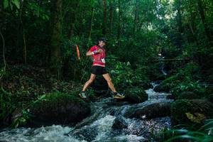 BIB: 
                            <button type="button" onclick="openModal(26774516)" class="btn btn-primary btn-sm float-right btn-popup" data-toggle="modal" data-target=".modal-high-quality">
                        <i class="fas fa-shopping-cart"></i> Add to Cart
                    </button>
                                            <button type="button" onclick="isThisMe(26774516, true)" class="btn btn-success btn-sm float-right btn-popup btn-isme hidden" data-toggle="tooltip" data-placement="bottom" title="นี่คือรูปของคุณใช่ไหม คลิกที่นี่เพื่อเอาเข้าอัลบั้ม">
                        <i class="fas fa-plus"></i> Add to album
                    </button>
                    <button type="button" onclick="isThisMe(26774516, false)" class="btn btn-warning btn-sm float-right btn-popup btn-isnotme hidden">
                        <i class="fas fa-ban"></i> Remove from album
                    </button>