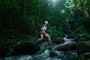 BIB: 
                            <button type="button" onclick="openModal(26781036)" class="btn btn-primary btn-sm float-right btn-popup" data-toggle="modal" data-target=".modal-high-quality">
                        <i class="fas fa-shopping-cart"></i> Add to Cart
                    </button>
                                            <button type="button" onclick="isThisMe(26781036, true)" class="btn btn-success btn-sm float-right btn-popup btn-isme hidden" data-toggle="tooltip" data-placement="bottom" title="นี่คือรูปของคุณใช่ไหม คลิกที่นี่เพื่อเอาเข้าอัลบั้ม">
                        <i class="fas fa-plus"></i> Add to album
                    </button>
                    <button type="button" onclick="isThisMe(26781036, false)" class="btn btn-warning btn-sm float-right btn-popup btn-isnotme hidden">
                        <i class="fas fa-ban"></i> Remove from album
                    </button>