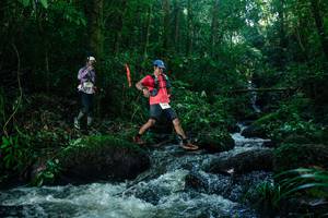 BIB: 
                            <button type="button" onclick="openModal(26774780)" class="btn btn-primary btn-sm float-right btn-popup" data-toggle="modal" data-target=".modal-high-quality">
                        <i class="fas fa-shopping-cart"></i> Add to Cart
                    </button>
                                            <button type="button" onclick="isThisMe(26774780, true)" class="btn btn-success btn-sm float-right btn-popup btn-isme hidden" data-toggle="tooltip" data-placement="bottom" title="นี่คือรูปของคุณใช่ไหม คลิกที่นี่เพื่อเอาเข้าอัลบั้ม">
                        <i class="fas fa-plus"></i> Add to album
                    </button>
                    <button type="button" onclick="isThisMe(26774780, false)" class="btn btn-warning btn-sm float-right btn-popup btn-isnotme hidden">
                        <i class="fas fa-ban"></i> Remove from album
                    </button>