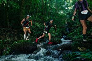 BIB: 
                            <button type="button" onclick="openModal(26774264)" class="btn btn-primary btn-sm float-right btn-popup" data-toggle="modal" data-target=".modal-high-quality">
                        <i class="fas fa-shopping-cart"></i> Add to Cart
                    </button>
                                            <button type="button" onclick="isThisMe(26774264, true)" class="btn btn-success btn-sm float-right btn-popup btn-isme hidden" data-toggle="tooltip" data-placement="bottom" title="นี่คือรูปของคุณใช่ไหม คลิกที่นี่เพื่อเอาเข้าอัลบั้ม">
                        <i class="fas fa-plus"></i> Add to album
                    </button>
                    <button type="button" onclick="isThisMe(26774264, false)" class="btn btn-warning btn-sm float-right btn-popup btn-isnotme hidden">
                        <i class="fas fa-ban"></i> Remove from album
                    </button>