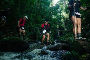 BIB: 
                            <button type="button" onclick="openModal(26775243)" class="btn btn-primary btn-sm float-right btn-popup" data-toggle="modal" data-target=".modal-high-quality">
                        <i class="fas fa-shopping-cart"></i> Add to Cart
                    </button>
                                            <button type="button" onclick="isThisMe(26775243, true)" class="btn btn-success btn-sm float-right btn-popup btn-isme hidden" data-toggle="tooltip" data-placement="bottom" title="นี่คือรูปของคุณใช่ไหม คลิกที่นี่เพื่อเอาเข้าอัลบั้ม">
                        <i class="fas fa-plus"></i> Add to album
                    </button>
                    <button type="button" onclick="isThisMe(26775243, false)" class="btn btn-warning btn-sm float-right btn-popup btn-isnotme hidden">
                        <i class="fas fa-ban"></i> Remove from album
                    </button>