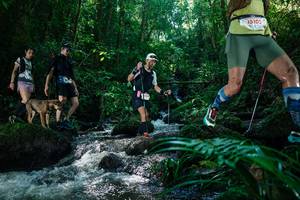 BIB: 
                            <button type="button" onclick="openModal(26773733)" class="btn btn-primary btn-sm float-right btn-popup" data-toggle="modal" data-target=".modal-high-quality">
                        <i class="fas fa-shopping-cart"></i> Add to Cart
                    </button>
                                            <button type="button" onclick="isThisMe(26773733, true)" class="btn btn-success btn-sm float-right btn-popup btn-isme hidden" data-toggle="tooltip" data-placement="bottom" title="นี่คือรูปของคุณใช่ไหม คลิกที่นี่เพื่อเอาเข้าอัลบั้ม">
                        <i class="fas fa-plus"></i> Add to album
                    </button>
                    <button type="button" onclick="isThisMe(26773733, false)" class="btn btn-warning btn-sm float-right btn-popup btn-isnotme hidden">
                        <i class="fas fa-ban"></i> Remove from album
                    </button>