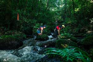 BIB: 
                            <button type="button" onclick="openModal(26772494)" class="btn btn-primary btn-sm float-right btn-popup" data-toggle="modal" data-target=".modal-high-quality">
                        <i class="fas fa-shopping-cart"></i> Add to Cart
                    </button>
                                            <button type="button" onclick="isThisMe(26772494, true)" class="btn btn-success btn-sm float-right btn-popup btn-isme hidden" data-toggle="tooltip" data-placement="bottom" title="นี่คือรูปของคุณใช่ไหม คลิกที่นี่เพื่อเอาเข้าอัลบั้ม">
                        <i class="fas fa-plus"></i> Add to album
                    </button>
                    <button type="button" onclick="isThisMe(26772494, false)" class="btn btn-warning btn-sm float-right btn-popup btn-isnotme hidden">
                        <i class="fas fa-ban"></i> Remove from album
                    </button>