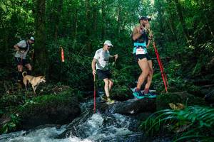 BIB: 
                            <button type="button" onclick="openModal(26756133)" class="btn btn-primary btn-sm float-right btn-popup" data-toggle="modal" data-target=".modal-high-quality">
                        <i class="fas fa-shopping-cart"></i> Add to Cart
                    </button>
                                            <button type="button" onclick="isThisMe(26756133, true)" class="btn btn-success btn-sm float-right btn-popup btn-isme hidden" data-toggle="tooltip" data-placement="bottom" title="นี่คือรูปของคุณใช่ไหม คลิกที่นี่เพื่อเอาเข้าอัลบั้ม">
                        <i class="fas fa-plus"></i> Add to album
                    </button>
                    <button type="button" onclick="isThisMe(26756133, false)" class="btn btn-warning btn-sm float-right btn-popup btn-isnotme hidden">
                        <i class="fas fa-ban"></i> Remove from album
                    </button>