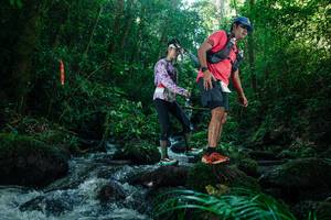 BIB: 
                            <button type="button" onclick="openModal(26774789)" class="btn btn-primary btn-sm float-right btn-popup" data-toggle="modal" data-target=".modal-high-quality">
                        <i class="fas fa-shopping-cart"></i> Add to Cart
                    </button>
                                            <button type="button" onclick="isThisMe(26774789, true)" class="btn btn-success btn-sm float-right btn-popup btn-isme hidden" data-toggle="tooltip" data-placement="bottom" title="นี่คือรูปของคุณใช่ไหม คลิกที่นี่เพื่อเอาเข้าอัลบั้ม">
                        <i class="fas fa-plus"></i> Add to album
                    </button>
                    <button type="button" onclick="isThisMe(26774789, false)" class="btn btn-warning btn-sm float-right btn-popup btn-isnotme hidden">
                        <i class="fas fa-ban"></i> Remove from album
                    </button>