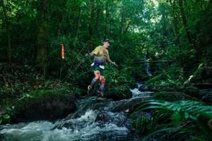 BIB: 
                            <button type="button" onclick="openModal(26773045)" class="btn btn-primary btn-sm float-right btn-popup" data-toggle="modal" data-target=".modal-high-quality">
                        <i class="fas fa-shopping-cart"></i> Add to Cart
                    </button>
                                            <button type="button" onclick="isThisMe(26773045, true)" class="btn btn-success btn-sm float-right btn-popup btn-isme hidden" data-toggle="tooltip" data-placement="bottom" title="นี่คือรูปของคุณใช่ไหม คลิกที่นี่เพื่อเอาเข้าอัลบั้ม">
                        <i class="fas fa-plus"></i> Add to album
                    </button>
                    <button type="button" onclick="isThisMe(26773045, false)" class="btn btn-warning btn-sm float-right btn-popup btn-isnotme hidden">
                        <i class="fas fa-ban"></i> Remove from album
                    </button>