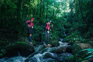 BIB: 
                            <button type="button" onclick="openModal(26778769)" class="btn btn-primary btn-sm float-right btn-popup" data-toggle="modal" data-target=".modal-high-quality">
                        <i class="fas fa-shopping-cart"></i> Add to Cart
                    </button>
                                            <button type="button" onclick="isThisMe(26778769, true)" class="btn btn-success btn-sm float-right btn-popup btn-isme hidden" data-toggle="tooltip" data-placement="bottom" title="นี่คือรูปของคุณใช่ไหม คลิกที่นี่เพื่อเอาเข้าอัลบั้ม">
                        <i class="fas fa-plus"></i> Add to album
                    </button>
                    <button type="button" onclick="isThisMe(26778769, false)" class="btn btn-warning btn-sm float-right btn-popup btn-isnotme hidden">
                        <i class="fas fa-ban"></i> Remove from album
                    </button>