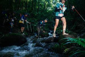 BIB: 
                            <button type="button" onclick="openModal(26778638)" class="btn btn-primary btn-sm float-right btn-popup" data-toggle="modal" data-target=".modal-high-quality">
                        <i class="fas fa-shopping-cart"></i> Add to Cart
                    </button>
                                            <button type="button" onclick="isThisMe(26778638, true)" class="btn btn-success btn-sm float-right btn-popup btn-isme hidden" data-toggle="tooltip" data-placement="bottom" title="นี่คือรูปของคุณใช่ไหม คลิกที่นี่เพื่อเอาเข้าอัลบั้ม">
                        <i class="fas fa-plus"></i> Add to album
                    </button>
                    <button type="button" onclick="isThisMe(26778638, false)" class="btn btn-warning btn-sm float-right btn-popup btn-isnotme hidden">
                        <i class="fas fa-ban"></i> Remove from album
                    </button>