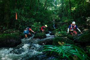 BIB: 
                            <button type="button" onclick="openModal(26772489)" class="btn btn-primary btn-sm float-right btn-popup" data-toggle="modal" data-target=".modal-high-quality">
                        <i class="fas fa-shopping-cart"></i> Add to Cart
                    </button>
                                            <button type="button" onclick="isThisMe(26772489, true)" class="btn btn-success btn-sm float-right btn-popup btn-isme hidden" data-toggle="tooltip" data-placement="bottom" title="นี่คือรูปของคุณใช่ไหม คลิกที่นี่เพื่อเอาเข้าอัลบั้ม">
                        <i class="fas fa-plus"></i> Add to album
                    </button>
                    <button type="button" onclick="isThisMe(26772489, false)" class="btn btn-warning btn-sm float-right btn-popup btn-isnotme hidden">
                        <i class="fas fa-ban"></i> Remove from album
                    </button>