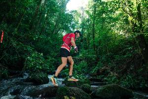 BIB: 
                            <button type="button" onclick="openModal(26774526)" class="btn btn-primary btn-sm float-right btn-popup" data-toggle="modal" data-target=".modal-high-quality">
                        <i class="fas fa-shopping-cart"></i> Add to Cart
                    </button>
                                            <button type="button" onclick="isThisMe(26774526, true)" class="btn btn-success btn-sm float-right btn-popup btn-isme hidden" data-toggle="tooltip" data-placement="bottom" title="นี่คือรูปของคุณใช่ไหม คลิกที่นี่เพื่อเอาเข้าอัลบั้ม">
                        <i class="fas fa-plus"></i> Add to album
                    </button>
                    <button type="button" onclick="isThisMe(26774526, false)" class="btn btn-warning btn-sm float-right btn-popup btn-isnotme hidden">
                        <i class="fas fa-ban"></i> Remove from album
                    </button>