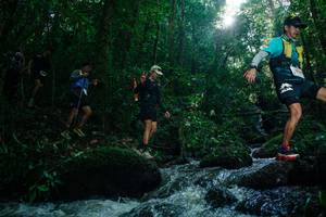 BIB: 
                            <button type="button" onclick="openModal(26775189)" class="btn btn-primary btn-sm float-right btn-popup" data-toggle="modal" data-target=".modal-high-quality">
                        <i class="fas fa-shopping-cart"></i> Add to Cart
                    </button>
                                            <button type="button" onclick="isThisMe(26775189, true)" class="btn btn-success btn-sm float-right btn-popup btn-isme hidden" data-toggle="tooltip" data-placement="bottom" title="นี่คือรูปของคุณใช่ไหม คลิกที่นี่เพื่อเอาเข้าอัลบั้ม">
                        <i class="fas fa-plus"></i> Add to album
                    </button>
                    <button type="button" onclick="isThisMe(26775189, false)" class="btn btn-warning btn-sm float-right btn-popup btn-isnotme hidden">
                        <i class="fas fa-ban"></i> Remove from album
                    </button>