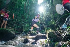 BIB: 
                            <button type="button" onclick="openModal(26775833)" class="btn btn-primary btn-sm float-right btn-popup" data-toggle="modal" data-target=".modal-high-quality">
                        <i class="fas fa-shopping-cart"></i> Add to Cart
                    </button>
                                            <button type="button" onclick="isThisMe(26775833, true)" class="btn btn-success btn-sm float-right btn-popup btn-isme hidden" data-toggle="tooltip" data-placement="bottom" title="นี่คือรูปของคุณใช่ไหม คลิกที่นี่เพื่อเอาเข้าอัลบั้ม">
                        <i class="fas fa-plus"></i> Add to album
                    </button>
                    <button type="button" onclick="isThisMe(26775833, false)" class="btn btn-warning btn-sm float-right btn-popup btn-isnotme hidden">
                        <i class="fas fa-ban"></i> Remove from album
                    </button>