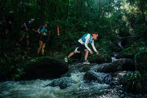 BIB: 
                            <button type="button" onclick="openModal(26781804)" class="btn btn-primary btn-sm float-right btn-popup" data-toggle="modal" data-target=".modal-high-quality">
                        <i class="fas fa-shopping-cart"></i> Add to Cart
                    </button>
                                            <button type="button" onclick="isThisMe(26781804, true)" class="btn btn-success btn-sm float-right btn-popup btn-isme hidden" data-toggle="tooltip" data-placement="bottom" title="นี่คือรูปของคุณใช่ไหม คลิกที่นี่เพื่อเอาเข้าอัลบั้ม">
                        <i class="fas fa-plus"></i> Add to album
                    </button>
                    <button type="button" onclick="isThisMe(26781804, false)" class="btn btn-warning btn-sm float-right btn-popup btn-isnotme hidden">
                        <i class="fas fa-ban"></i> Remove from album
                    </button>