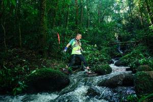 BIB: 
                            <button type="button" onclick="openModal(26780940)" class="btn btn-primary btn-sm float-right btn-popup" data-toggle="modal" data-target=".modal-high-quality">
                        <i class="fas fa-shopping-cart"></i> Add to Cart
                    </button>
                                            <button type="button" onclick="isThisMe(26780940, true)" class="btn btn-success btn-sm float-right btn-popup btn-isme hidden" data-toggle="tooltip" data-placement="bottom" title="นี่คือรูปของคุณใช่ไหม คลิกที่นี่เพื่อเอาเข้าอัลบั้ม">
                        <i class="fas fa-plus"></i> Add to album
                    </button>
                    <button type="button" onclick="isThisMe(26780940, false)" class="btn btn-warning btn-sm float-right btn-popup btn-isnotme hidden">
                        <i class="fas fa-ban"></i> Remove from album
                    </button>