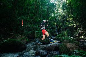 BIB: 
                            <button type="button" onclick="openModal(26775567)" class="btn btn-primary btn-sm float-right btn-popup" data-toggle="modal" data-target=".modal-high-quality">
                        <i class="fas fa-shopping-cart"></i> Add to Cart
                    </button>
                                            <button type="button" onclick="isThisMe(26775567, true)" class="btn btn-success btn-sm float-right btn-popup btn-isme hidden" data-toggle="tooltip" data-placement="bottom" title="นี่คือรูปของคุณใช่ไหม คลิกที่นี่เพื่อเอาเข้าอัลบั้ม">
                        <i class="fas fa-plus"></i> Add to album
                    </button>
                    <button type="button" onclick="isThisMe(26775567, false)" class="btn btn-warning btn-sm float-right btn-popup btn-isnotme hidden">
                        <i class="fas fa-ban"></i> Remove from album
                    </button>