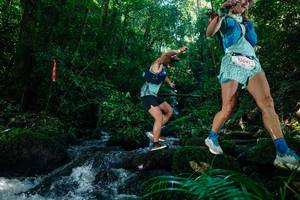 BIB: 
                            <button type="button" onclick="openModal(26701279)" class="btn btn-primary btn-sm float-right btn-popup" data-toggle="modal" data-target=".modal-high-quality">
                        <i class="fas fa-shopping-cart"></i> Add to Cart
                    </button>
                                            <button type="button" onclick="isThisMe(26701279, true)" class="btn btn-success btn-sm float-right btn-popup btn-isme hidden" data-toggle="tooltip" data-placement="bottom" title="นี่คือรูปของคุณใช่ไหม คลิกที่นี่เพื่อเอาเข้าอัลบั้ม">
                        <i class="fas fa-plus"></i> Add to album
                    </button>
                    <button type="button" onclick="isThisMe(26701279, false)" class="btn btn-warning btn-sm float-right btn-popup btn-isnotme hidden">
                        <i class="fas fa-ban"></i> Remove from album
                    </button>