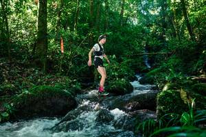 BIB: 
                            <button type="button" onclick="openModal(26695859)" class="btn btn-primary btn-sm float-right btn-popup" data-toggle="modal" data-target=".modal-high-quality">
                        <i class="fas fa-shopping-cart"></i> Add to Cart
                    </button>
                                            <button type="button" onclick="isThisMe(26695859, true)" class="btn btn-success btn-sm float-right btn-popup btn-isme hidden" data-toggle="tooltip" data-placement="bottom" title="นี่คือรูปของคุณใช่ไหม คลิกที่นี่เพื่อเอาเข้าอัลบั้ม">
                        <i class="fas fa-plus"></i> Add to album
                    </button>
                    <button type="button" onclick="isThisMe(26695859, false)" class="btn btn-warning btn-sm float-right btn-popup btn-isnotme hidden">
                        <i class="fas fa-ban"></i> Remove from album
                    </button>