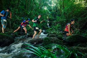 BIB: 
                            <button type="button" onclick="openModal(26775017)" class="btn btn-primary btn-sm float-right btn-popup" data-toggle="modal" data-target=".modal-high-quality">
                        <i class="fas fa-shopping-cart"></i> Add to Cart
                    </button>
                                            <button type="button" onclick="isThisMe(26775017, true)" class="btn btn-success btn-sm float-right btn-popup btn-isme hidden" data-toggle="tooltip" data-placement="bottom" title="นี่คือรูปของคุณใช่ไหม คลิกที่นี่เพื่อเอาเข้าอัลบั้ม">
                        <i class="fas fa-plus"></i> Add to album
                    </button>
                    <button type="button" onclick="isThisMe(26775017, false)" class="btn btn-warning btn-sm float-right btn-popup btn-isnotme hidden">
                        <i class="fas fa-ban"></i> Remove from album
                    </button>