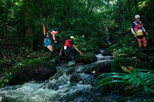 BIB: 
                            <button type="button" onclick="openModal(26772486)" class="btn btn-primary btn-sm float-right btn-popup" data-toggle="modal" data-target=".modal-high-quality">
                        <i class="fas fa-shopping-cart"></i> Add to Cart
                    </button>
                                            <button type="button" onclick="isThisMe(26772486, true)" class="btn btn-success btn-sm float-right btn-popup btn-isme hidden" data-toggle="tooltip" data-placement="bottom" title="นี่คือรูปของคุณใช่ไหม คลิกที่นี่เพื่อเอาเข้าอัลบั้ม">
                        <i class="fas fa-plus"></i> Add to album
                    </button>
                    <button type="button" onclick="isThisMe(26772486, false)" class="btn btn-warning btn-sm float-right btn-popup btn-isnotme hidden">
                        <i class="fas fa-ban"></i> Remove from album
                    </button>