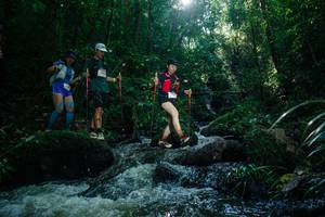 BIB: 
                            <button type="button" onclick="openModal(26775094)" class="btn btn-primary btn-sm float-right btn-popup" data-toggle="modal" data-target=".modal-high-quality">
                        <i class="fas fa-shopping-cart"></i> Add to Cart
                    </button>
                                            <button type="button" onclick="isThisMe(26775094, true)" class="btn btn-success btn-sm float-right btn-popup btn-isme hidden" data-toggle="tooltip" data-placement="bottom" title="นี่คือรูปของคุณใช่ไหม คลิกที่นี่เพื่อเอาเข้าอัลบั้ม">
                        <i class="fas fa-plus"></i> Add to album
                    </button>
                    <button type="button" onclick="isThisMe(26775094, false)" class="btn btn-warning btn-sm float-right btn-popup btn-isnotme hidden">
                        <i class="fas fa-ban"></i> Remove from album
                    </button>