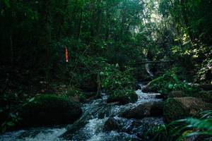 BIB: 
                            <button type="button" onclick="openModal(26775565)" class="btn btn-primary btn-sm float-right btn-popup" data-toggle="modal" data-target=".modal-high-quality">
                        <i class="fas fa-shopping-cart"></i> Add to Cart
                    </button>
                                            <button type="button" onclick="isThisMe(26775565, true)" class="btn btn-success btn-sm float-right btn-popup btn-isme hidden" data-toggle="tooltip" data-placement="bottom" title="นี่คือรูปของคุณใช่ไหม คลิกที่นี่เพื่อเอาเข้าอัลบั้ม">
                        <i class="fas fa-plus"></i> Add to album
                    </button>
                    <button type="button" onclick="isThisMe(26775565, false)" class="btn btn-warning btn-sm float-right btn-popup btn-isnotme hidden">
                        <i class="fas fa-ban"></i> Remove from album
                    </button>