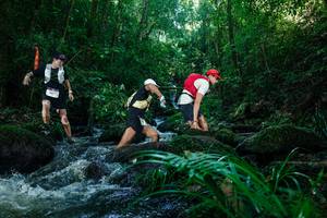 BIB: 
                            <button type="button" onclick="openModal(26773220)" class="btn btn-primary btn-sm float-right btn-popup" data-toggle="modal" data-target=".modal-high-quality">
                        <i class="fas fa-shopping-cart"></i> Add to Cart
                    </button>
                                            <button type="button" onclick="isThisMe(26773220, true)" class="btn btn-success btn-sm float-right btn-popup btn-isme hidden" data-toggle="tooltip" data-placement="bottom" title="นี่คือรูปของคุณใช่ไหม คลิกที่นี่เพื่อเอาเข้าอัลบั้ม">
                        <i class="fas fa-plus"></i> Add to album
                    </button>
                    <button type="button" onclick="isThisMe(26773220, false)" class="btn btn-warning btn-sm float-right btn-popup btn-isnotme hidden">
                        <i class="fas fa-ban"></i> Remove from album
                    </button>