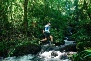 BIB: 
                            <button type="button" onclick="openModal(26696690)" class="btn btn-primary btn-sm float-right btn-popup" data-toggle="modal" data-target=".modal-high-quality">
                        <i class="fas fa-shopping-cart"></i> Add to Cart
                    </button>
                                            <button type="button" onclick="isThisMe(26696690, true)" class="btn btn-success btn-sm float-right btn-popup btn-isme hidden" data-toggle="tooltip" data-placement="bottom" title="นี่คือรูปของคุณใช่ไหม คลิกที่นี่เพื่อเอาเข้าอัลบั้ม">
                        <i class="fas fa-plus"></i> Add to album
                    </button>
                    <button type="button" onclick="isThisMe(26696690, false)" class="btn btn-warning btn-sm float-right btn-popup btn-isnotme hidden">
                        <i class="fas fa-ban"></i> Remove from album
                    </button>