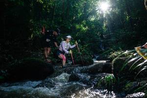 BIB: 
                            <button type="button" onclick="openModal(26776427)" class="btn btn-primary btn-sm float-right btn-popup" data-toggle="modal" data-target=".modal-high-quality">
                        <i class="fas fa-shopping-cart"></i> Add to Cart
                    </button>
                                            <button type="button" onclick="isThisMe(26776427, true)" class="btn btn-success btn-sm float-right btn-popup btn-isme hidden" data-toggle="tooltip" data-placement="bottom" title="นี่คือรูปของคุณใช่ไหม คลิกที่นี่เพื่อเอาเข้าอัลบั้ม">
                        <i class="fas fa-plus"></i> Add to album
                    </button>
                    <button type="button" onclick="isThisMe(26776427, false)" class="btn btn-warning btn-sm float-right btn-popup btn-isnotme hidden">
                        <i class="fas fa-ban"></i> Remove from album
                    </button>