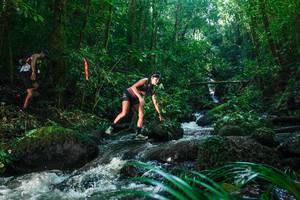 BIB: 
                            <button type="button" onclick="openModal(26780085)" class="btn btn-primary btn-sm float-right btn-popup" data-toggle="modal" data-target=".modal-high-quality">
                        <i class="fas fa-shopping-cart"></i> Add to Cart
                    </button>
                                            <button type="button" onclick="isThisMe(26780085, true)" class="btn btn-success btn-sm float-right btn-popup btn-isme hidden" data-toggle="tooltip" data-placement="bottom" title="นี่คือรูปของคุณใช่ไหม คลิกที่นี่เพื่อเอาเข้าอัลบั้ม">
                        <i class="fas fa-plus"></i> Add to album
                    </button>
                    <button type="button" onclick="isThisMe(26780085, false)" class="btn btn-warning btn-sm float-right btn-popup btn-isnotme hidden">
                        <i class="fas fa-ban"></i> Remove from album
                    </button>