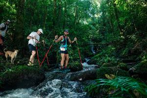 BIB: 
                            <button type="button" onclick="openModal(26756127)" class="btn btn-primary btn-sm float-right btn-popup" data-toggle="modal" data-target=".modal-high-quality">
                        <i class="fas fa-shopping-cart"></i> Add to Cart
                    </button>
                                            <button type="button" onclick="isThisMe(26756127, true)" class="btn btn-success btn-sm float-right btn-popup btn-isme hidden" data-toggle="tooltip" data-placement="bottom" title="นี่คือรูปของคุณใช่ไหม คลิกที่นี่เพื่อเอาเข้าอัลบั้ม">
                        <i class="fas fa-plus"></i> Add to album
                    </button>
                    <button type="button" onclick="isThisMe(26756127, false)" class="btn btn-warning btn-sm float-right btn-popup btn-isnotme hidden">
                        <i class="fas fa-ban"></i> Remove from album
                    </button>