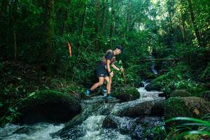 BIB: 
                            <button type="button" onclick="openModal(26780896)" class="btn btn-primary btn-sm float-right btn-popup" data-toggle="modal" data-target=".modal-high-quality">
                        <i class="fas fa-shopping-cart"></i> Add to Cart
                    </button>
                                            <button type="button" onclick="isThisMe(26780896, true)" class="btn btn-success btn-sm float-right btn-popup btn-isme hidden" data-toggle="tooltip" data-placement="bottom" title="นี่คือรูปของคุณใช่ไหม คลิกที่นี่เพื่อเอาเข้าอัลบั้ม">
                        <i class="fas fa-plus"></i> Add to album
                    </button>
                    <button type="button" onclick="isThisMe(26780896, false)" class="btn btn-warning btn-sm float-right btn-popup btn-isnotme hidden">
                        <i class="fas fa-ban"></i> Remove from album
                    </button>