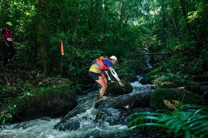 BIB: 
                            <button type="button" onclick="openModal(26772473)" class="btn btn-primary btn-sm float-right btn-popup" data-toggle="modal" data-target=".modal-high-quality">
                        <i class="fas fa-shopping-cart"></i> Add to Cart
                    </button>
                                            <button type="button" onclick="isThisMe(26772473, true)" class="btn btn-success btn-sm float-right btn-popup btn-isme hidden" data-toggle="tooltip" data-placement="bottom" title="นี่คือรูปของคุณใช่ไหม คลิกที่นี่เพื่อเอาเข้าอัลบั้ม">
                        <i class="fas fa-plus"></i> Add to album
                    </button>
                    <button type="button" onclick="isThisMe(26772473, false)" class="btn btn-warning btn-sm float-right btn-popup btn-isnotme hidden">
                        <i class="fas fa-ban"></i> Remove from album
                    </button>