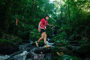 BIB: 
                            <button type="button" onclick="openModal(26774520)" class="btn btn-primary btn-sm float-right btn-popup" data-toggle="modal" data-target=".modal-high-quality">
                        <i class="fas fa-shopping-cart"></i> Add to Cart
                    </button>
                                            <button type="button" onclick="isThisMe(26774520, true)" class="btn btn-success btn-sm float-right btn-popup btn-isme hidden" data-toggle="tooltip" data-placement="bottom" title="นี่คือรูปของคุณใช่ไหม คลิกที่นี่เพื่อเอาเข้าอัลบั้ม">
                        <i class="fas fa-plus"></i> Add to album
                    </button>
                    <button type="button" onclick="isThisMe(26774520, false)" class="btn btn-warning btn-sm float-right btn-popup btn-isnotme hidden">
                        <i class="fas fa-ban"></i> Remove from album
                    </button>