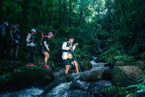 BIB: 
                            <button type="button" onclick="openModal(26779848)" class="btn btn-primary btn-sm float-right btn-popup" data-toggle="modal" data-target=".modal-high-quality">
                        <i class="fas fa-shopping-cart"></i> Add to Cart
                    </button>
                                            <button type="button" onclick="isThisMe(26779848, true)" class="btn btn-success btn-sm float-right btn-popup btn-isme hidden" data-toggle="tooltip" data-placement="bottom" title="นี่คือรูปของคุณใช่ไหม คลิกที่นี่เพื่อเอาเข้าอัลบั้ม">
                        <i class="fas fa-plus"></i> Add to album
                    </button>
                    <button type="button" onclick="isThisMe(26779848, false)" class="btn btn-warning btn-sm float-right btn-popup btn-isnotme hidden">
                        <i class="fas fa-ban"></i> Remove from album
                    </button>