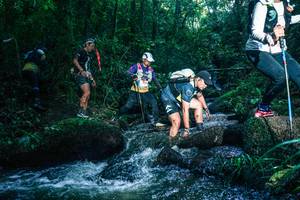 BIB: 
                            <button type="button" onclick="openModal(26779872)" class="btn btn-primary btn-sm float-right btn-popup" data-toggle="modal" data-target=".modal-high-quality">
                        <i class="fas fa-shopping-cart"></i> Add to Cart
                    </button>
                                            <button type="button" onclick="isThisMe(26779872, true)" class="btn btn-success btn-sm float-right btn-popup btn-isme hidden" data-toggle="tooltip" data-placement="bottom" title="นี่คือรูปของคุณใช่ไหม คลิกที่นี่เพื่อเอาเข้าอัลบั้ม">
                        <i class="fas fa-plus"></i> Add to album
                    </button>
                    <button type="button" onclick="isThisMe(26779872, false)" class="btn btn-warning btn-sm float-right btn-popup btn-isnotme hidden">
                        <i class="fas fa-ban"></i> Remove from album
                    </button>