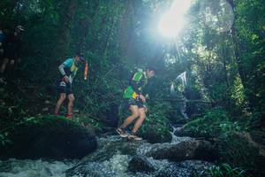 BIB: 
                            <button type="button" onclick="openModal(26775184)" class="btn btn-primary btn-sm float-right btn-popup" data-toggle="modal" data-target=".modal-high-quality">
                        <i class="fas fa-shopping-cart"></i> Add to Cart
                    </button>
                                            <button type="button" onclick="isThisMe(26775184, true)" class="btn btn-success btn-sm float-right btn-popup btn-isme hidden" data-toggle="tooltip" data-placement="bottom" title="นี่คือรูปของคุณใช่ไหม คลิกที่นี่เพื่อเอาเข้าอัลบั้ม">
                        <i class="fas fa-plus"></i> Add to album
                    </button>
                    <button type="button" onclick="isThisMe(26775184, false)" class="btn btn-warning btn-sm float-right btn-popup btn-isnotme hidden">
                        <i class="fas fa-ban"></i> Remove from album
                    </button>