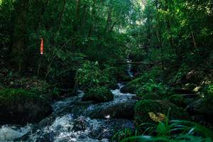 BIB: 
                            <button type="button" onclick="openModal(26701811)" class="btn btn-primary btn-sm float-right btn-popup" data-toggle="modal" data-target=".modal-high-quality">
                        <i class="fas fa-shopping-cart"></i> Add to Cart
                    </button>
                                            <button type="button" onclick="isThisMe(26701811, true)" class="btn btn-success btn-sm float-right btn-popup btn-isme hidden" data-toggle="tooltip" data-placement="bottom" title="นี่คือรูปของคุณใช่ไหม คลิกที่นี่เพื่อเอาเข้าอัลบั้ม">
                        <i class="fas fa-plus"></i> Add to album
                    </button>
                    <button type="button" onclick="isThisMe(26701811, false)" class="btn btn-warning btn-sm float-right btn-popup btn-isnotme hidden">
                        <i class="fas fa-ban"></i> Remove from album
                    </button>