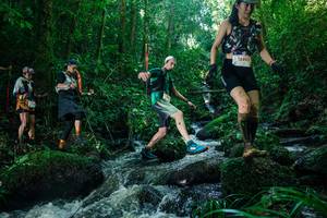 BIB: 
                            <button type="button" onclick="openModal(26780178)" class="btn btn-primary btn-sm float-right btn-popup" data-toggle="modal" data-target=".modal-high-quality">
                        <i class="fas fa-shopping-cart"></i> Add to Cart
                    </button>
                                            <button type="button" onclick="isThisMe(26780178, true)" class="btn btn-success btn-sm float-right btn-popup btn-isme hidden" data-toggle="tooltip" data-placement="bottom" title="นี่คือรูปของคุณใช่ไหม คลิกที่นี่เพื่อเอาเข้าอัลบั้ม">
                        <i class="fas fa-plus"></i> Add to album
                    </button>
                    <button type="button" onclick="isThisMe(26780178, false)" class="btn btn-warning btn-sm float-right btn-popup btn-isnotme hidden">
                        <i class="fas fa-ban"></i> Remove from album
                    </button>