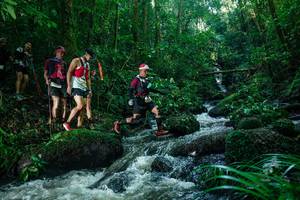 BIB: 
                            <button type="button" onclick="openModal(26775047)" class="btn btn-primary btn-sm float-right btn-popup" data-toggle="modal" data-target=".modal-high-quality">
                        <i class="fas fa-shopping-cart"></i> Add to Cart
                    </button>
                                            <button type="button" onclick="isThisMe(26775047, true)" class="btn btn-success btn-sm float-right btn-popup btn-isme hidden" data-toggle="tooltip" data-placement="bottom" title="นี่คือรูปของคุณใช่ไหม คลิกที่นี่เพื่อเอาเข้าอัลบั้ม">
                        <i class="fas fa-plus"></i> Add to album
                    </button>
                    <button type="button" onclick="isThisMe(26775047, false)" class="btn btn-warning btn-sm float-right btn-popup btn-isnotme hidden">
                        <i class="fas fa-ban"></i> Remove from album
                    </button>