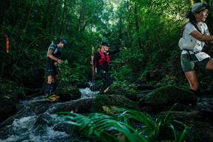 BIB: 
                            <button type="button" onclick="openModal(26774150)" class="btn btn-primary btn-sm float-right btn-popup" data-toggle="modal" data-target=".modal-high-quality">
                        <i class="fas fa-shopping-cart"></i> Add to Cart
                    </button>
                                            <button type="button" onclick="isThisMe(26774150, true)" class="btn btn-success btn-sm float-right btn-popup btn-isme hidden" data-toggle="tooltip" data-placement="bottom" title="นี่คือรูปของคุณใช่ไหม คลิกที่นี่เพื่อเอาเข้าอัลบั้ม">
                        <i class="fas fa-plus"></i> Add to album
                    </button>
                    <button type="button" onclick="isThisMe(26774150, false)" class="btn btn-warning btn-sm float-right btn-popup btn-isnotme hidden">
                        <i class="fas fa-ban"></i> Remove from album
                    </button>