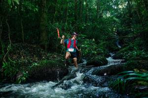 BIB: 
                            <button type="button" onclick="openModal(26774034)" class="btn btn-primary btn-sm float-right btn-popup" data-toggle="modal" data-target=".modal-high-quality">
                        <i class="fas fa-shopping-cart"></i> Add to Cart
                    </button>
                                            <button type="button" onclick="isThisMe(26774034, true)" class="btn btn-success btn-sm float-right btn-popup btn-isme hidden" data-toggle="tooltip" data-placement="bottom" title="นี่คือรูปของคุณใช่ไหม คลิกที่นี่เพื่อเอาเข้าอัลบั้ม">
                        <i class="fas fa-plus"></i> Add to album
                    </button>
                    <button type="button" onclick="isThisMe(26774034, false)" class="btn btn-warning btn-sm float-right btn-popup btn-isnotme hidden">
                        <i class="fas fa-ban"></i> Remove from album
                    </button>