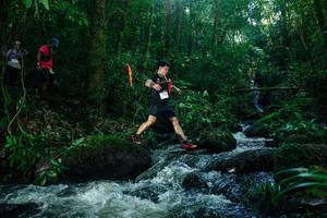 BIB: 
                            <button type="button" onclick="openModal(26774771)" class="btn btn-primary btn-sm float-right btn-popup" data-toggle="modal" data-target=".modal-high-quality">
                        <i class="fas fa-shopping-cart"></i> Add to Cart
                    </button>
                                            <button type="button" onclick="isThisMe(26774771, true)" class="btn btn-success btn-sm float-right btn-popup btn-isme hidden" data-toggle="tooltip" data-placement="bottom" title="นี่คือรูปของคุณใช่ไหม คลิกที่นี่เพื่อเอาเข้าอัลบั้ม">
                        <i class="fas fa-plus"></i> Add to album
                    </button>
                    <button type="button" onclick="isThisMe(26774771, false)" class="btn btn-warning btn-sm float-right btn-popup btn-isnotme hidden">
                        <i class="fas fa-ban"></i> Remove from album
                    </button>