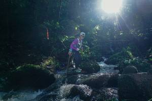 BIB: 
                            <button type="button" onclick="openModal(26776084)" class="btn btn-primary btn-sm float-right btn-popup" data-toggle="modal" data-target=".modal-high-quality">
                        <i class="fas fa-shopping-cart"></i> Add to Cart
                    </button>
                                            <button type="button" onclick="isThisMe(26776084, true)" class="btn btn-success btn-sm float-right btn-popup btn-isme hidden" data-toggle="tooltip" data-placement="bottom" title="นี่คือรูปของคุณใช่ไหม คลิกที่นี่เพื่อเอาเข้าอัลบั้ม">
                        <i class="fas fa-plus"></i> Add to album
                    </button>
                    <button type="button" onclick="isThisMe(26776084, false)" class="btn btn-warning btn-sm float-right btn-popup btn-isnotme hidden">
                        <i class="fas fa-ban"></i> Remove from album
                    </button>