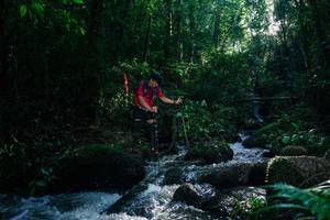 BIB: 
                            <button type="button" onclick="openModal(26777570)" class="btn btn-primary btn-sm float-right btn-popup" data-toggle="modal" data-target=".modal-high-quality">
                        <i class="fas fa-shopping-cart"></i> Add to Cart
                    </button>
                                            <button type="button" onclick="isThisMe(26777570, true)" class="btn btn-success btn-sm float-right btn-popup btn-isme hidden" data-toggle="tooltip" data-placement="bottom" title="นี่คือรูปของคุณใช่ไหม คลิกที่นี่เพื่อเอาเข้าอัลบั้ม">
                        <i class="fas fa-plus"></i> Add to album
                    </button>
                    <button type="button" onclick="isThisMe(26777570, false)" class="btn btn-warning btn-sm float-right btn-popup btn-isnotme hidden">
                        <i class="fas fa-ban"></i> Remove from album
                    </button>