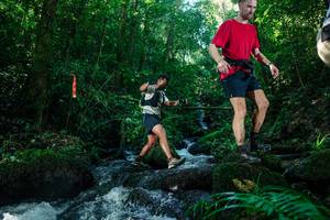 BIB: 
                            <button type="button" onclick="openModal(26744934)" class="btn btn-primary btn-sm float-right btn-popup" data-toggle="modal" data-target=".modal-high-quality">
                        <i class="fas fa-shopping-cart"></i> Add to Cart
                    </button>
                                            <button type="button" onclick="isThisMe(26744934, true)" class="btn btn-success btn-sm float-right btn-popup btn-isme hidden" data-toggle="tooltip" data-placement="bottom" title="นี่คือรูปของคุณใช่ไหม คลิกที่นี่เพื่อเอาเข้าอัลบั้ม">
                        <i class="fas fa-plus"></i> Add to album
                    </button>
                    <button type="button" onclick="isThisMe(26744934, false)" class="btn btn-warning btn-sm float-right btn-popup btn-isnotme hidden">
                        <i class="fas fa-ban"></i> Remove from album
                    </button>